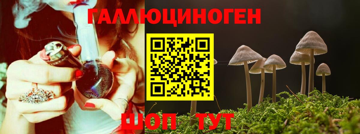 Псилоцибиновые грибы прущие грибы  Вход с VPN  Серов 