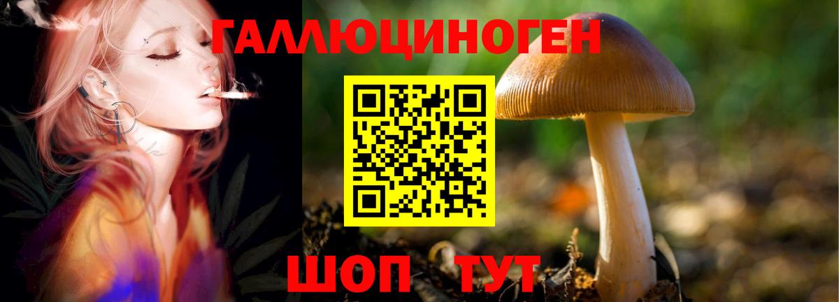 Псилоцибиновые грибы ЛСД Серов